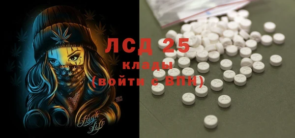 стаф Алзамай