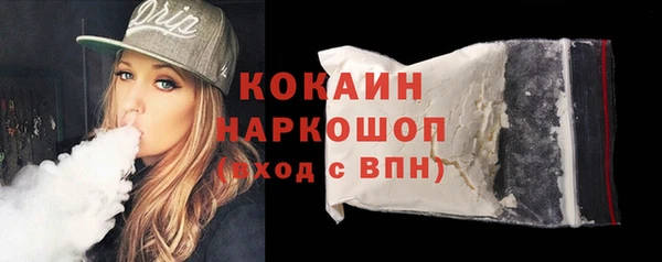 стаф Алзамай