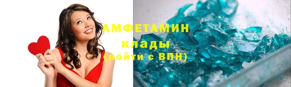 стаф Алзамай