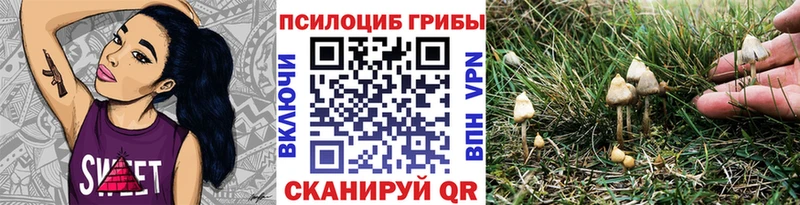 Псилоцибиновые грибы Magic Shrooms  где купить наркотик  omg маркетплейс  Нея 